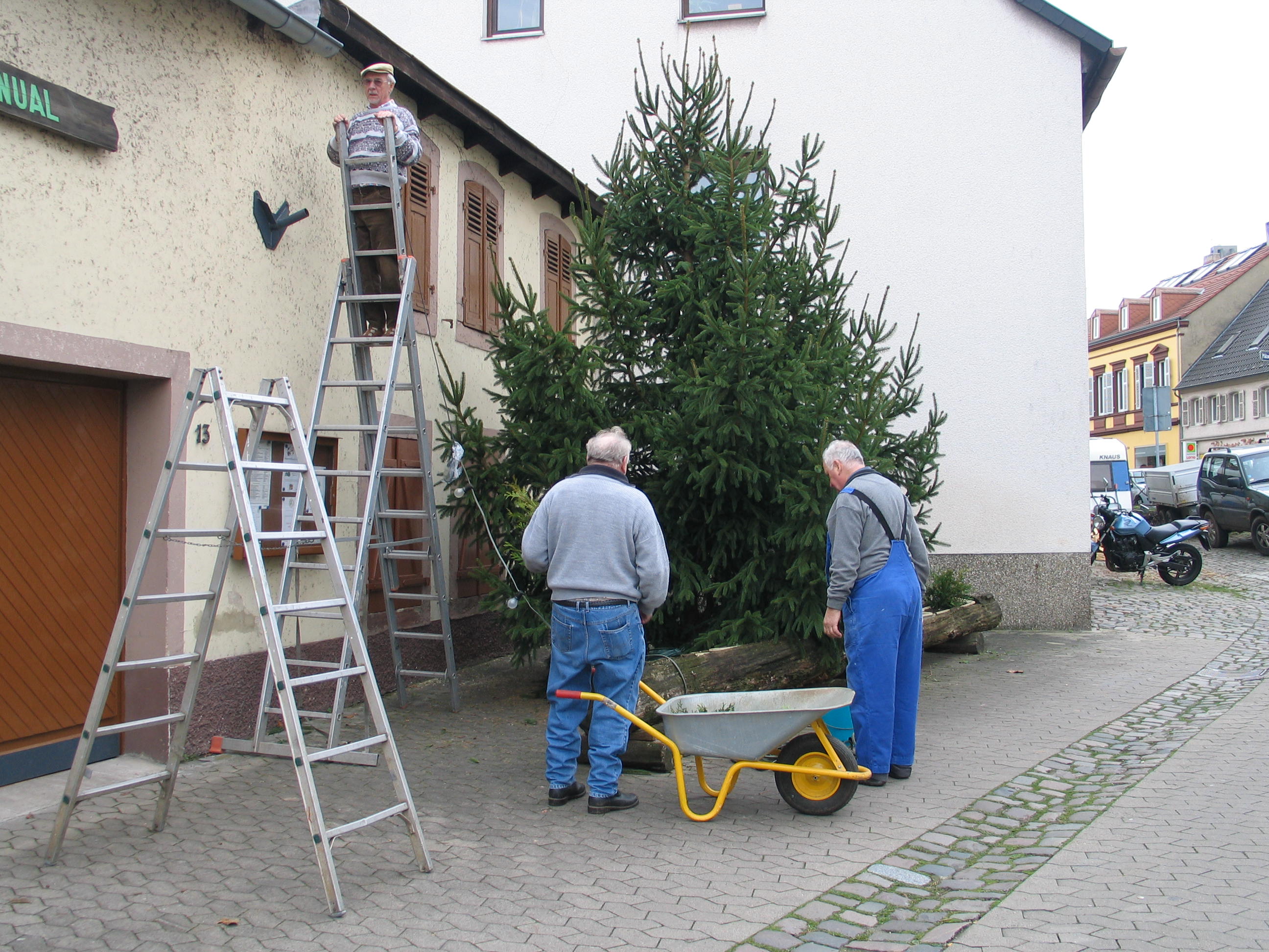 Der Weihnachtsbaum vor der Kelter wird gestellt und mit Lichterketten versehen.