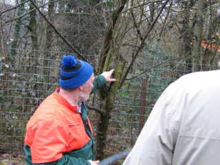 Herr Vogeley zeigt auch wann ein Baum eigentlich gefällt werden sollte.