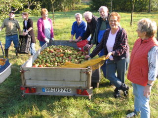 Eine Gruppe von Frauen und Männern hat sich aufgemacht um Äpfel auf unserer Obstwiese zu sammeln.