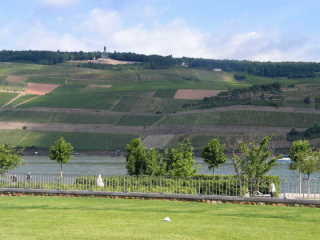 Wunderschöne Lage der Landesgartenschau mit Weinbergen auf dem gegenüberliegenden Rheinufer.