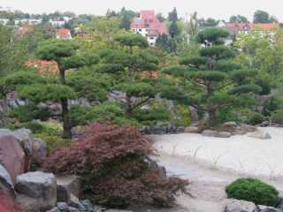 Im egapark Erfurt konnten wir den japanischen Garten bewundern.