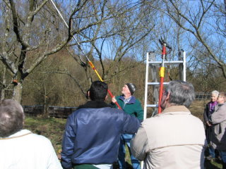 Hans Vogeley erklärte die Systematik des Obstbaumschnitts.