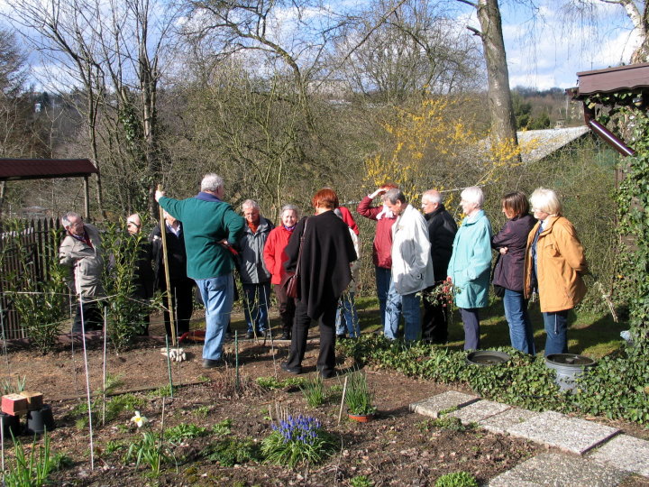 Im Garten des ersten Vorsitzenden konnten die Teilnehmer alles über den Schnitt von Rosen erfahren.