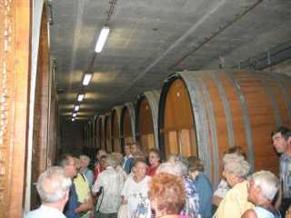 Besichtigung und Weinprobe bei der Winzergenossenschaft Oberrottweil