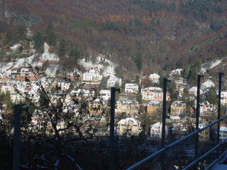 Blick vom Schloss nach Heidelberg. 